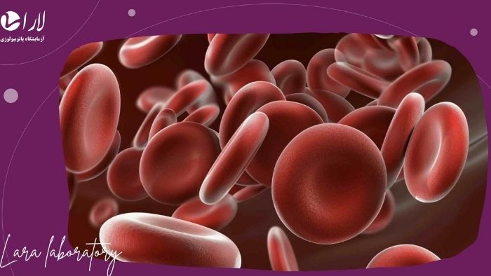 آزمایش CBC چیست و چه اطلاعاتی میدهد؟ آزمایش CBC چیست و چه اطلاعاتی میدهد؟