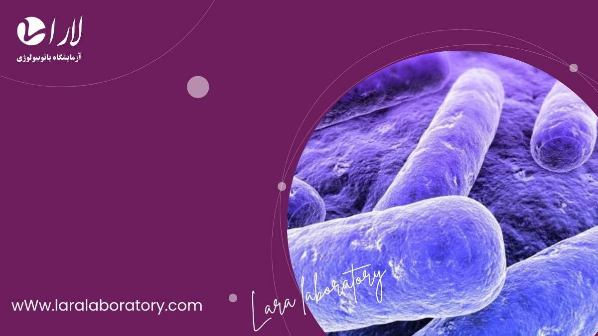 آزمایش عفونی در شهرری در بهترین و مجهزترین آزمایشگاه