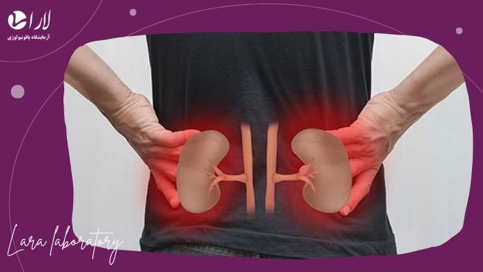 چه زمانی باید آزمایش ‌های عملکرد کلیه انجام شوند؟