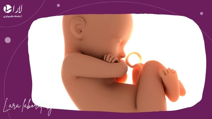 کمک آزمایش ادرار به سلامت نوزاد کمک آزمایش ادرار به سلامت نوزاد